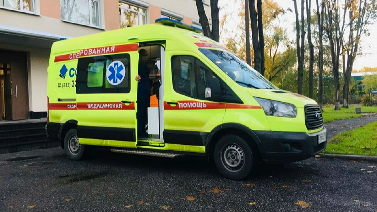 Фото: coris-spb.ru