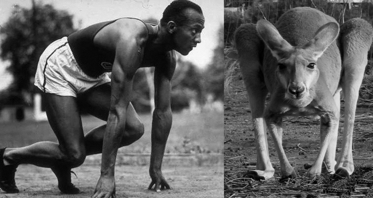 Первым будет стартовать спортсмен не из швеции. Спринтер Шерилл низкий старт.