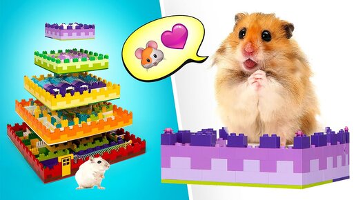 Download Video: Как сделать самый крутой лабиринт для хомяка || FUN DIY!🐹🐀