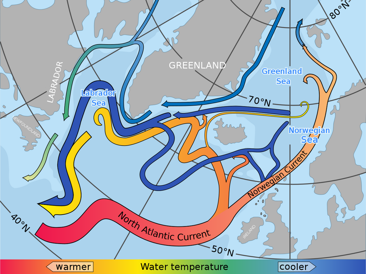 Какие течения атлантического океана. Восточно-Гренландское течение течения Атлантического океана. Северо-атлантическое течение. Течения в Северной Атлантике. Северо-атлантическое течение на карте.
