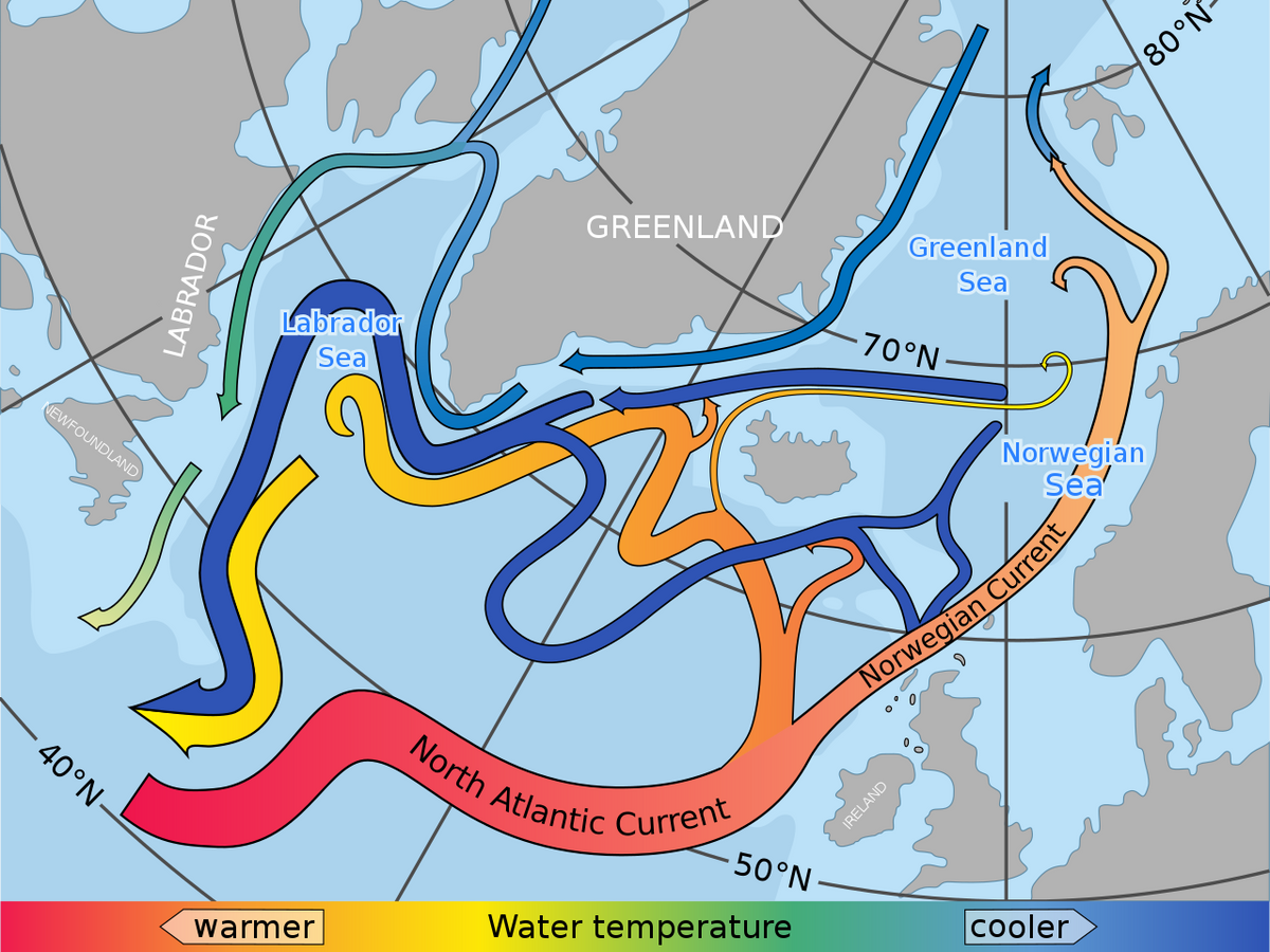 Лабрадорское. Нордкапское течение и Гольфстрим. Теплое нордкапское течение. Теплое норвежское течение. Океаническое течение норвежское.