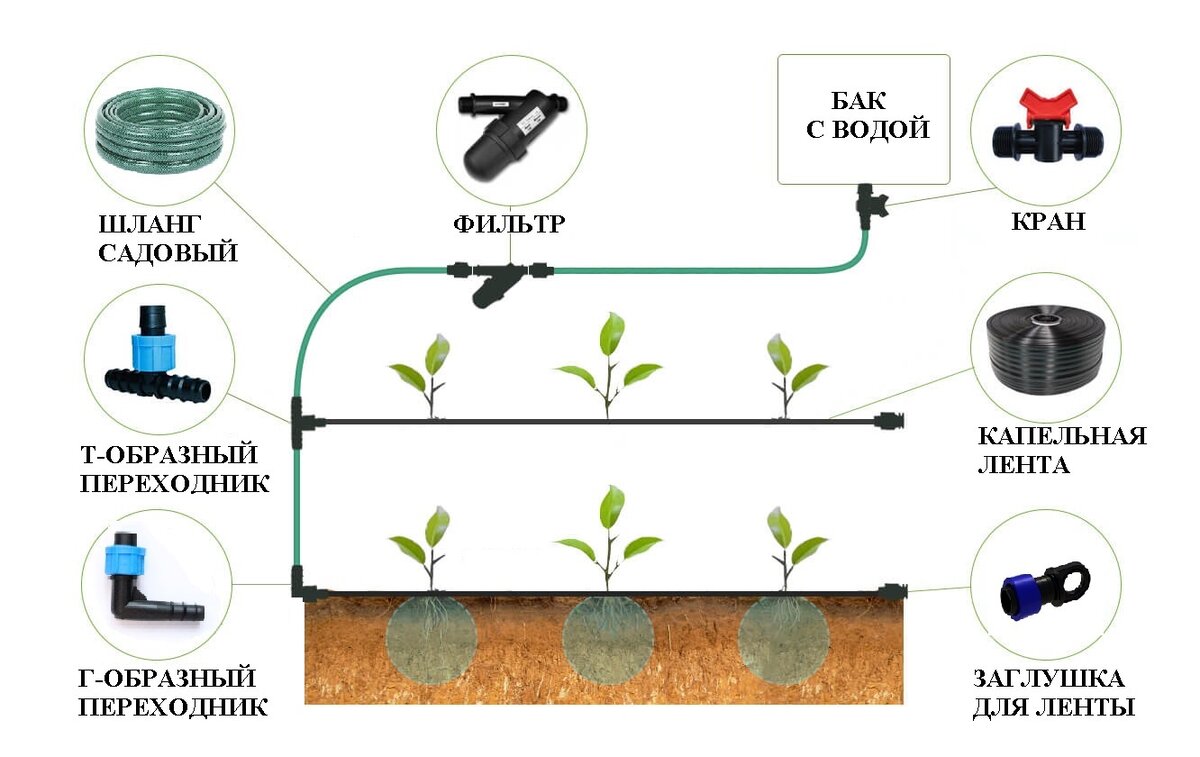Капельный полив схема фото