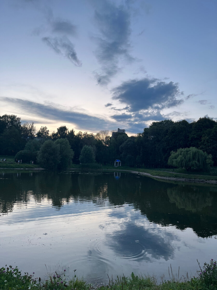 Софа любит тут кормить уточек🦆🦆🦆