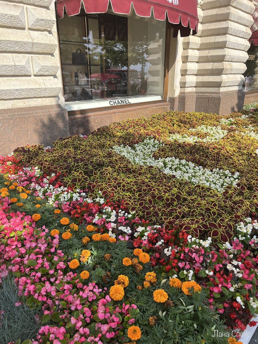 Сто оттенков розового)