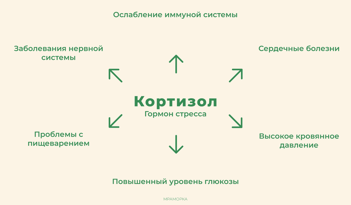 Влияние высокого уровня кортизола 