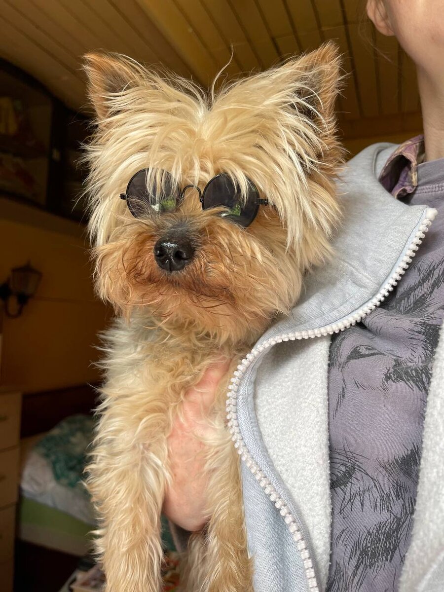 Мистер Жоркшир