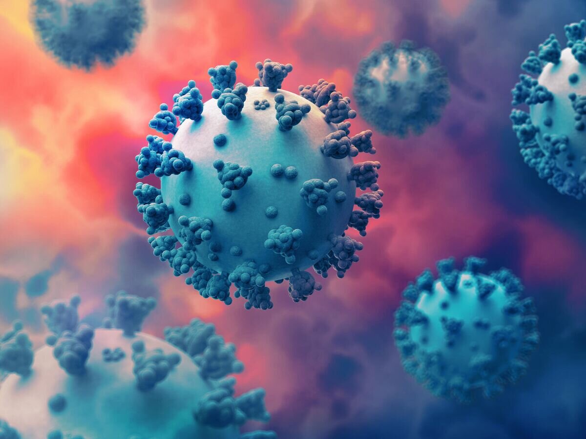    Компьютерная модель вируса COVID-19© iStock.com / Alexander Vasilyev