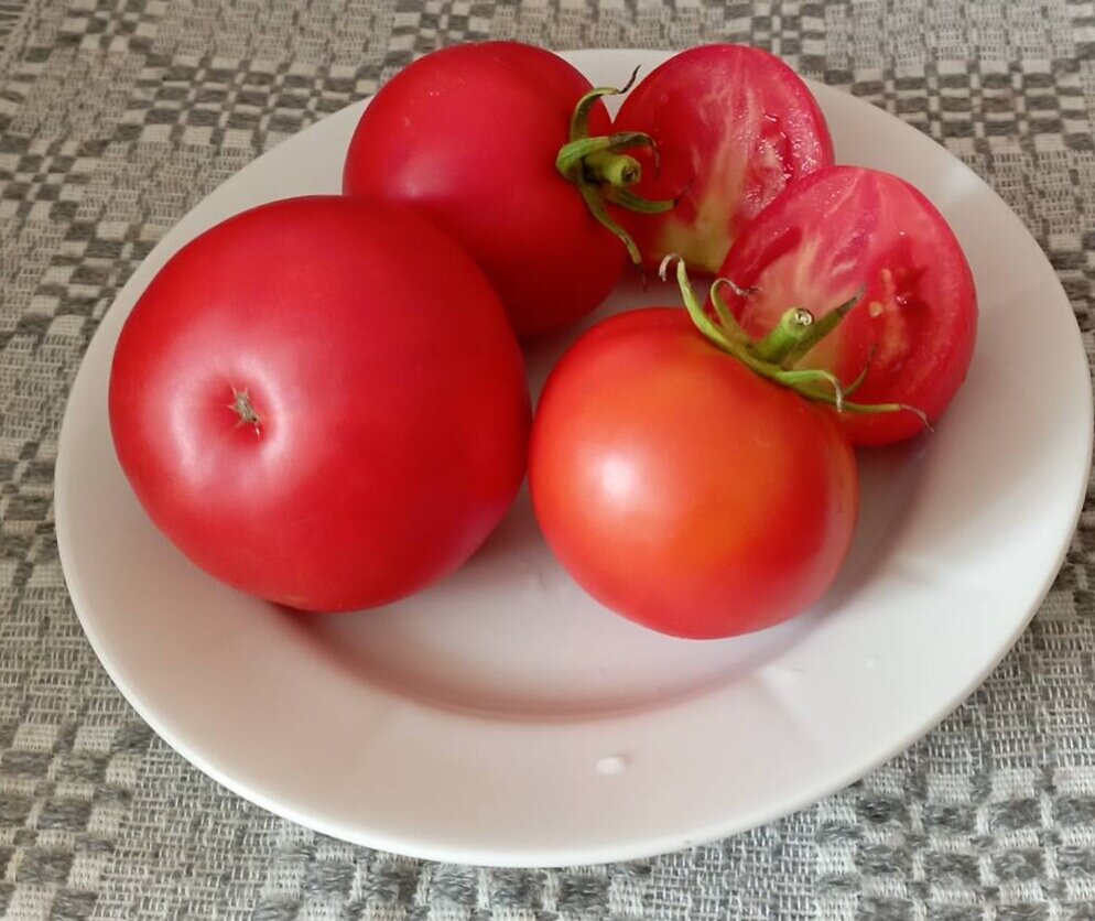 Сорт "Знаменитая клубника миссис Шлаубах"