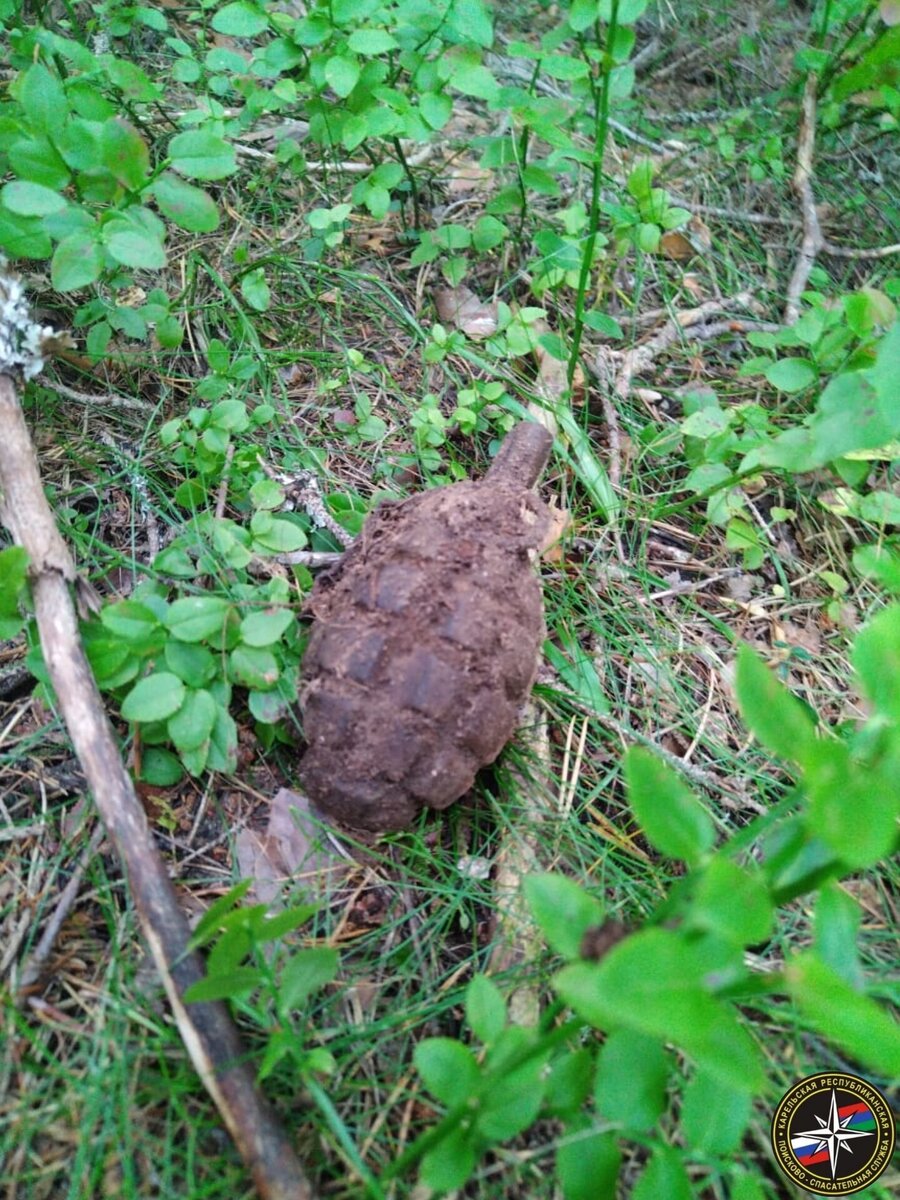    Старые снаряды времен войны продолжают находить в лесах Карелии ГКУ Карельская поисково-спасательная служба