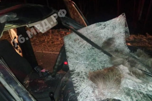    Фото: Пресс-служба УМВД