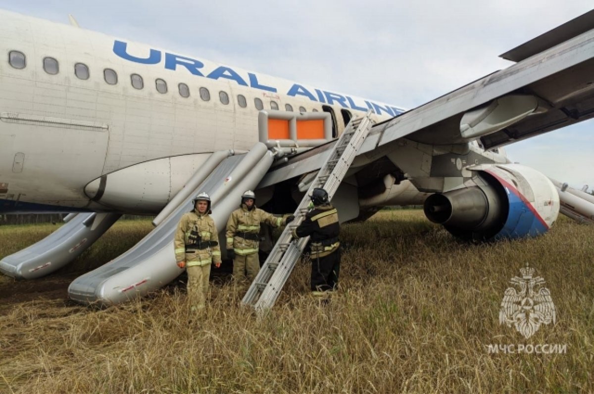    Эксперт Лукашевич раскритиковал перегон самолета Airbus в Новосибирск