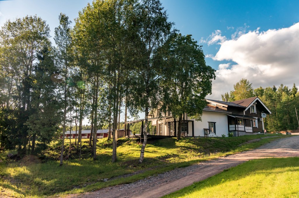 Времена года