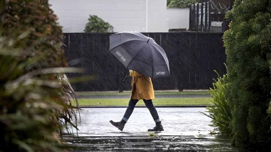 Ветр в сентябре крутой. Ветр в сентябре крутой. Дерево на ветру. Тюмень осенью 22 год. Осень ветер.