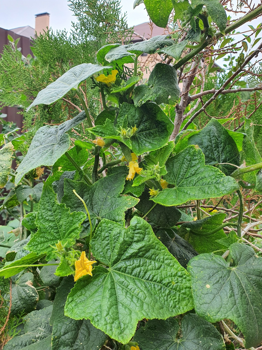 16 сентября 2023г.