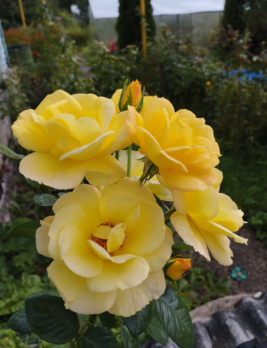 Все фотографии из моего архива. 