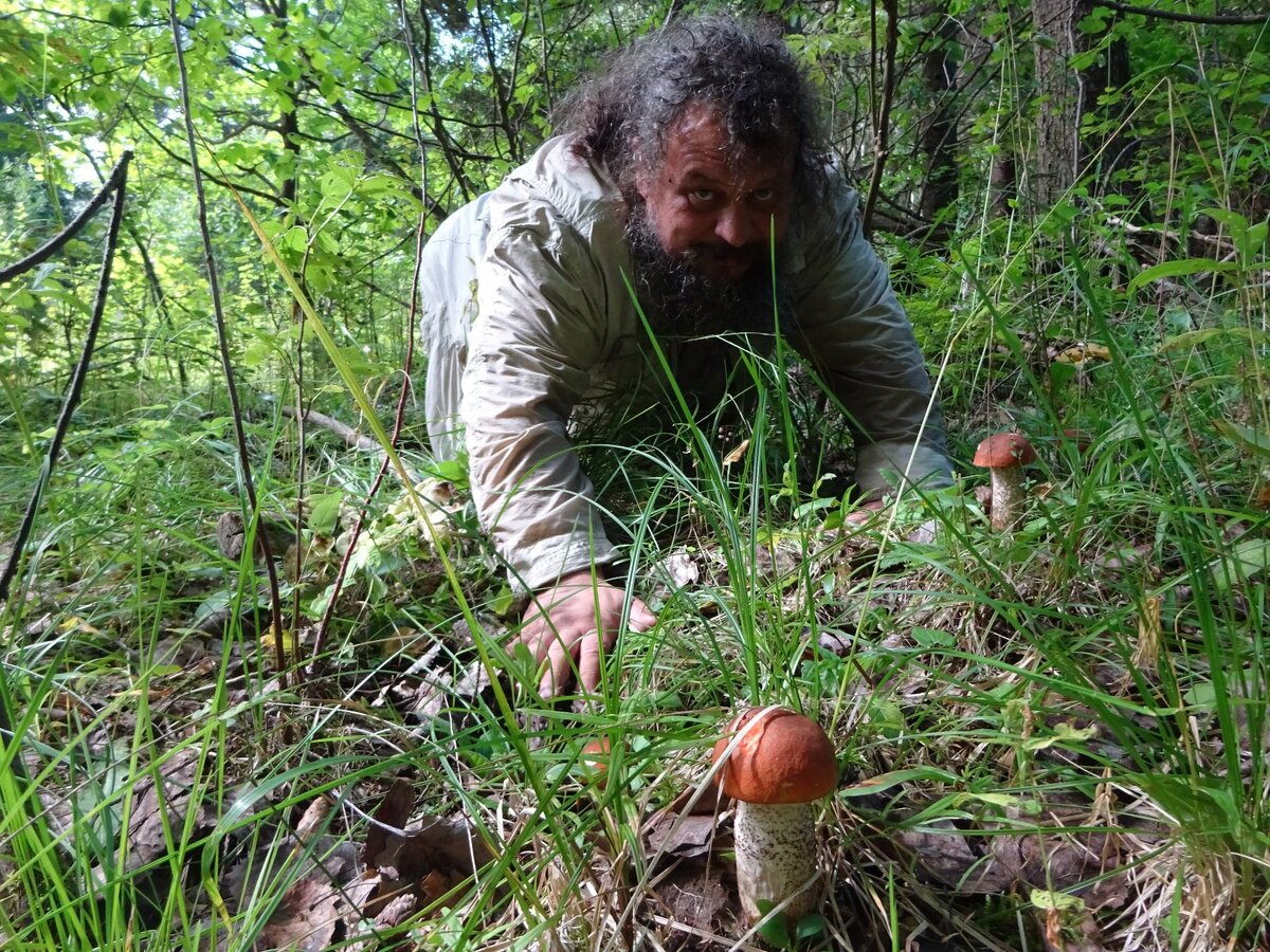 В роли бывалого грибника в этой статье будет мой отец, грибник с полувековым стажем. Фото из интернета 
