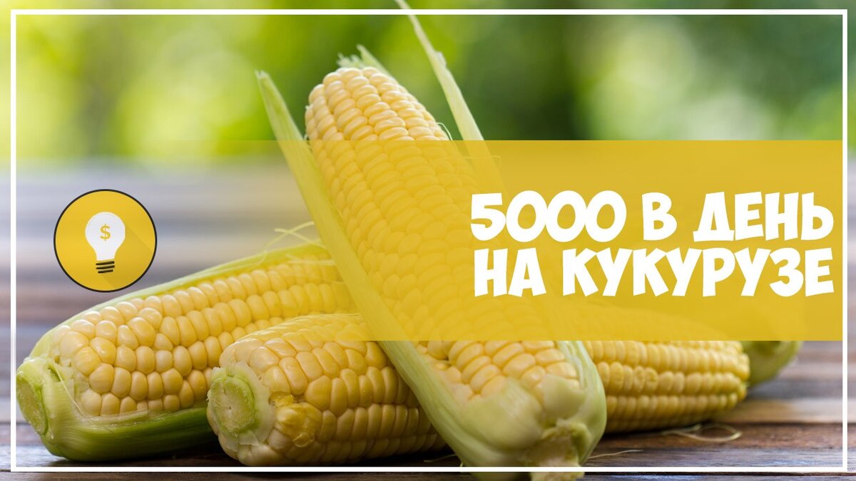 Как мы делали по 5000 руб. в день на вареной кукурузе: легкий бизнес для  ленивых. | Ариша Герц | Дзен