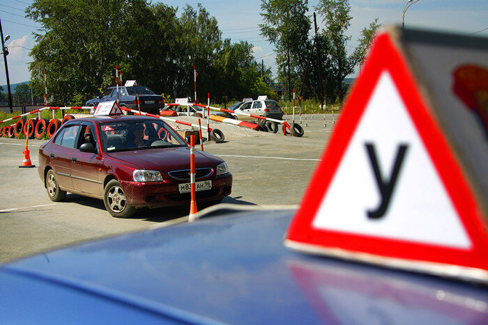 Фотография взята из интернета