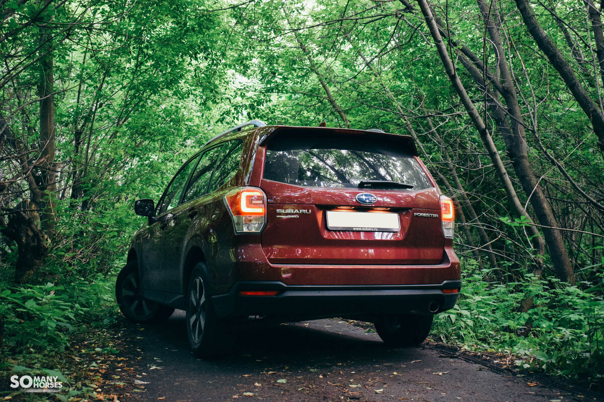 Тест-драйв Subaru Forester | Somanyhorses | Дзен