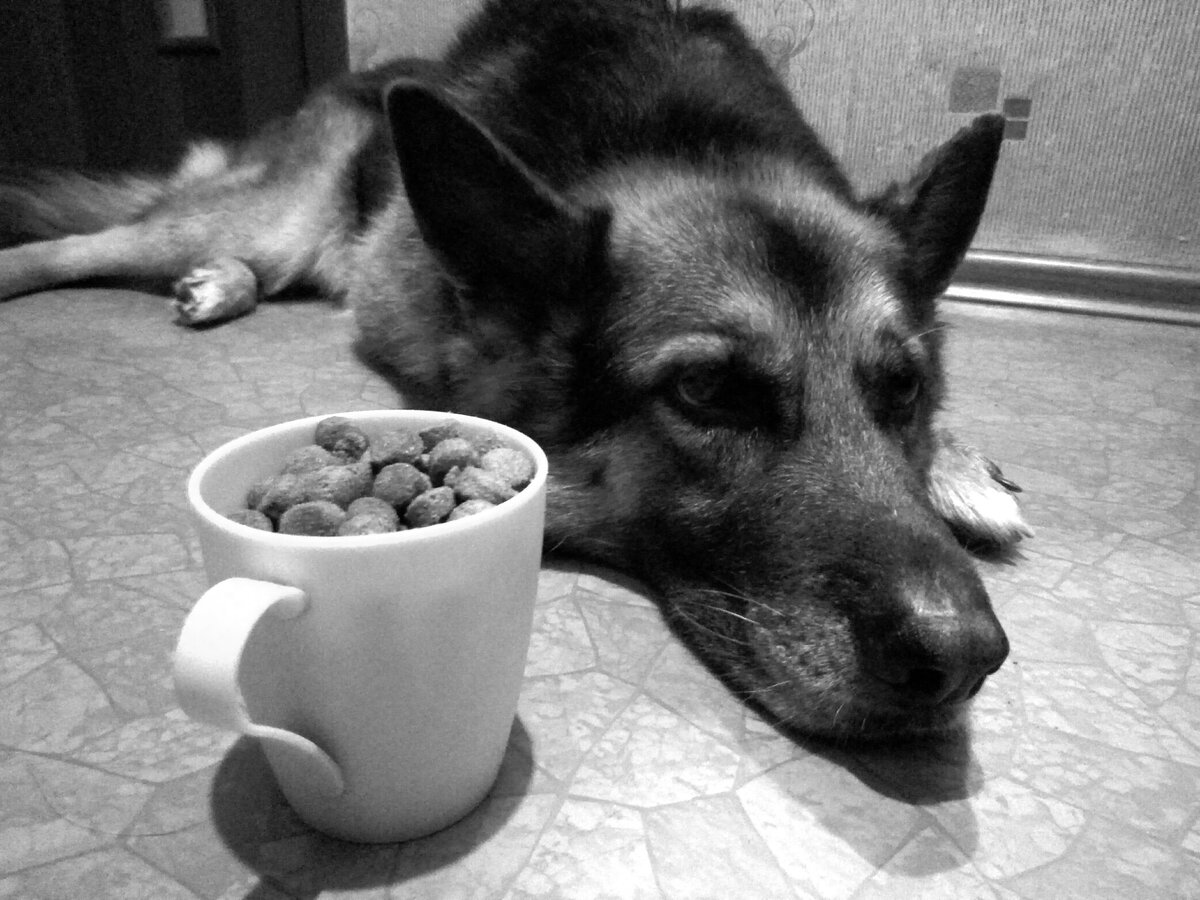 По-моему, он считает свою порцию слишком маленькой