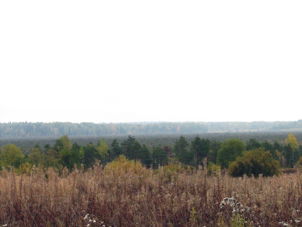 Вот он, Вашему вниманию. Ничего особенного или аномального, но как же болото не хотело фоткаться!