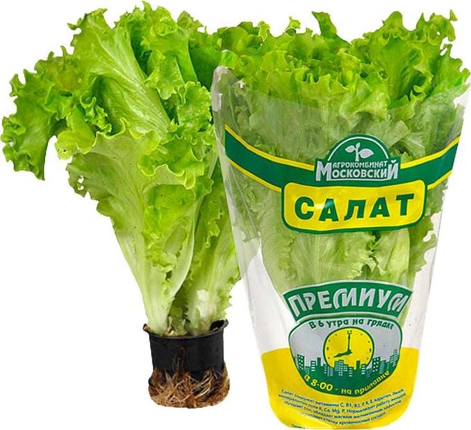 Полезен ли салат в горшочках? | Instamart | Дзен