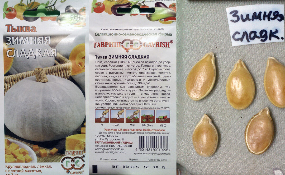 Из этого пакетика растила Зимнюю Сладкую в 2016 году