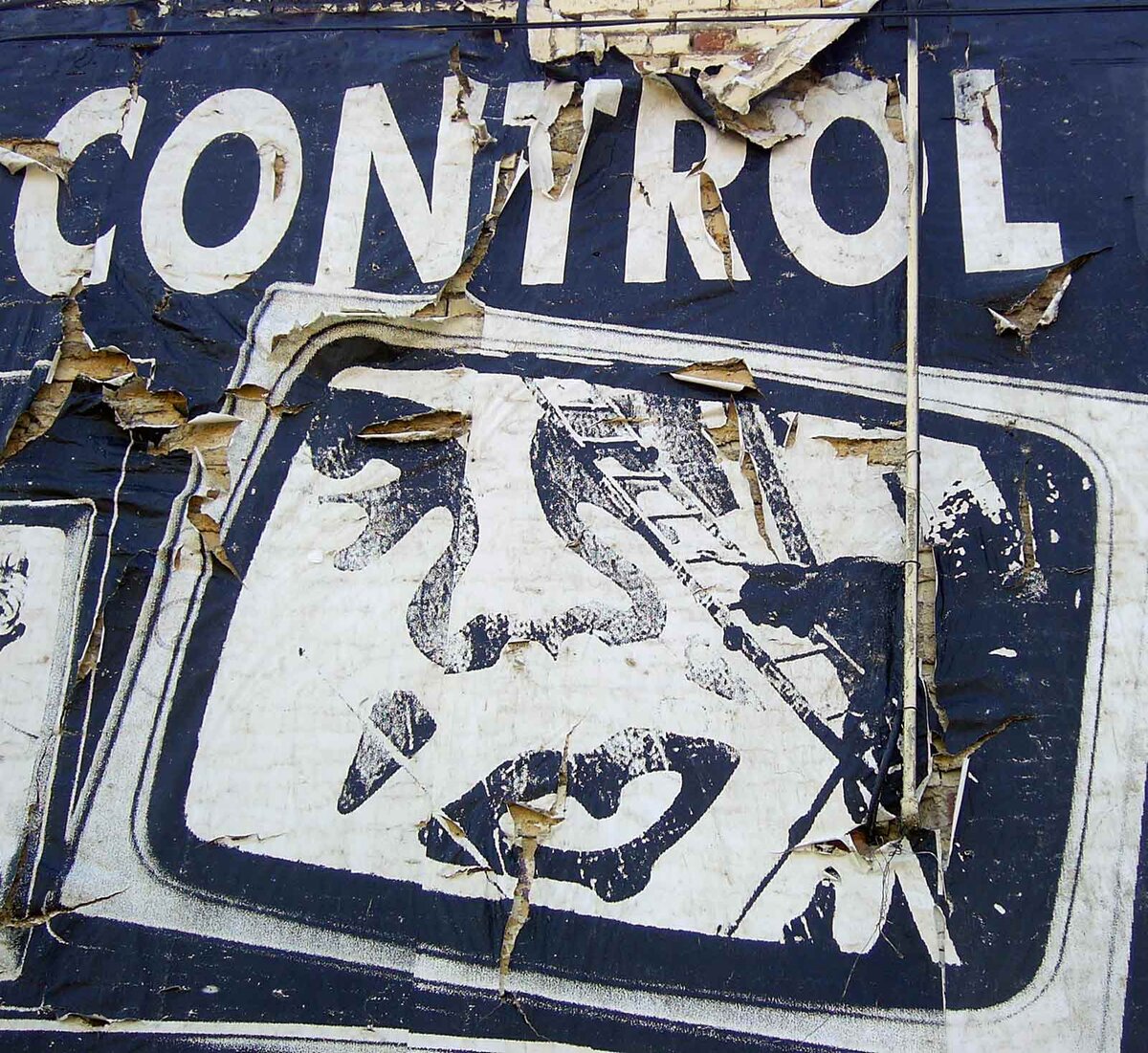 источник: https://www.flickr.com/