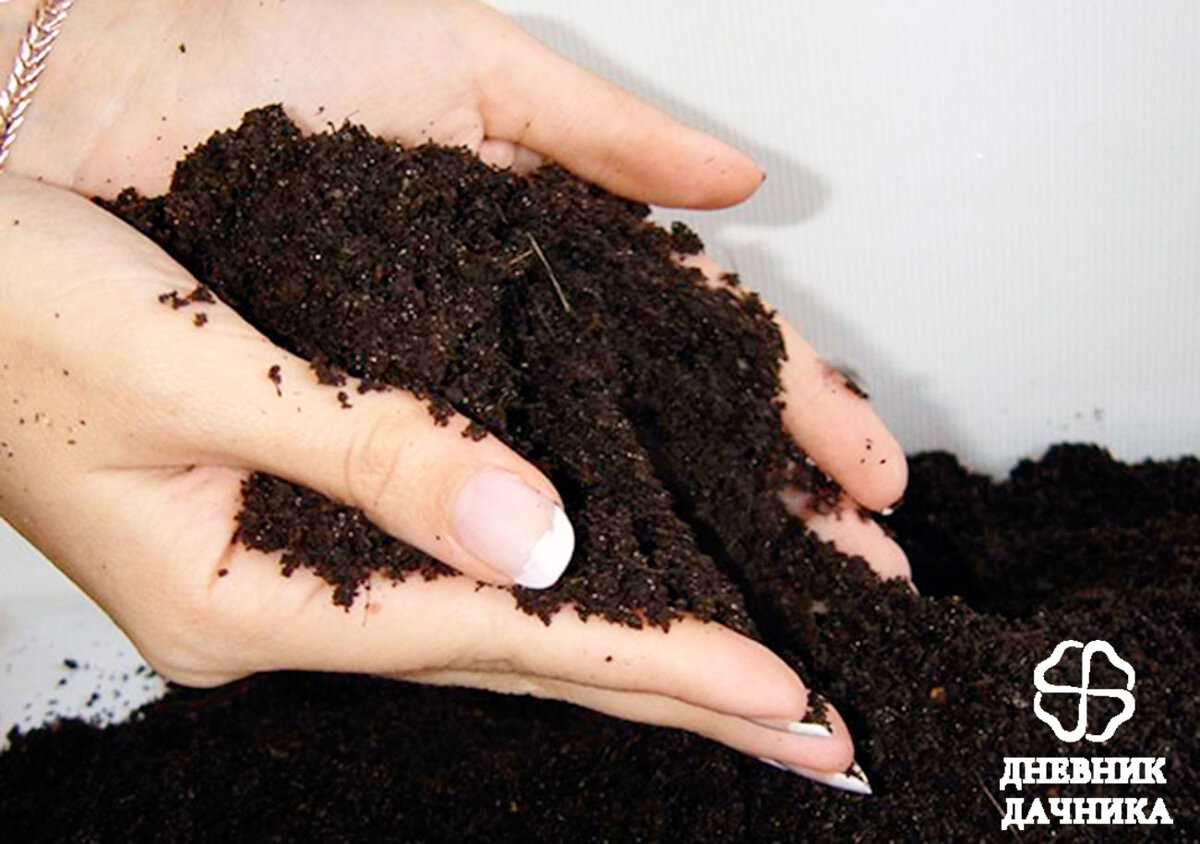 Как сделать почву в домашних условиях. Подготовка земли для рассады. Почва для рассады. Подготовка грунта. Подготовка грунта для рассады.