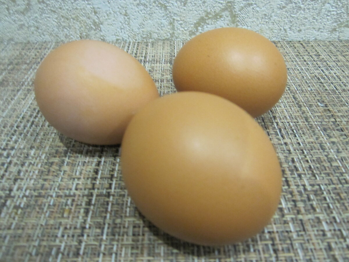 сжатые яйца фото