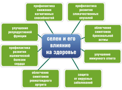 фото: http://propionix.ru