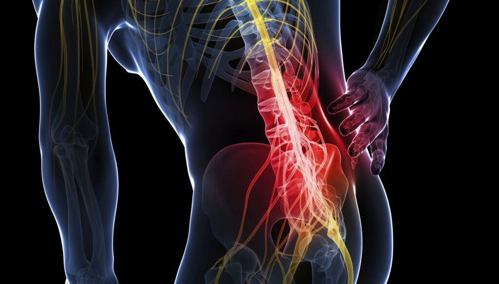 Фото с http://wagoryu.ru/wp-content/uploads/2018/10/49103d05f4852baa5148c574800cb1a7.jpg