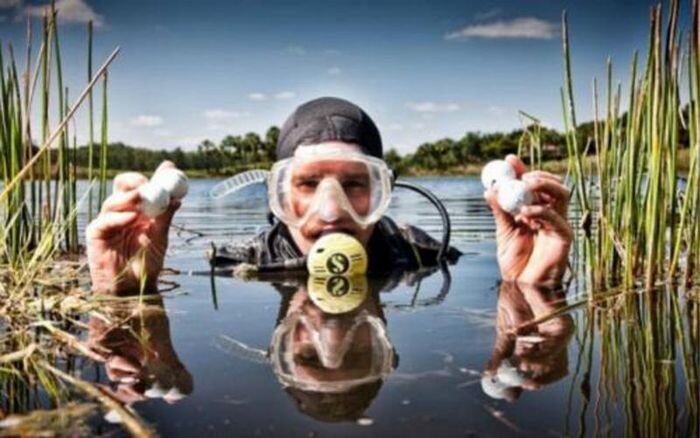 изображение с сайта 