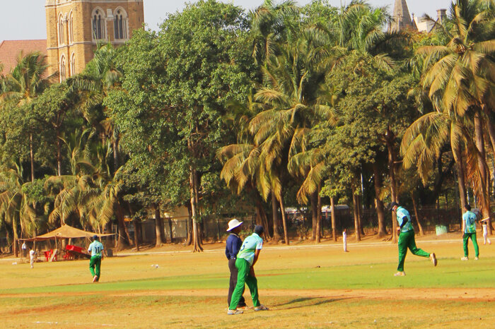 Фото автора. Поле для крикета рядом с Мумбайским университетом. 