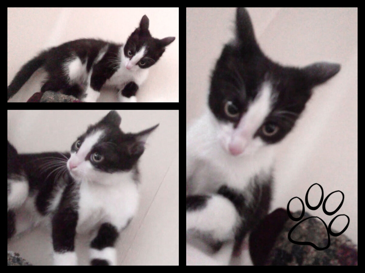 Так я в детстве защищался от неприятностей...иногда и сейчас находит...приходится делать "ушки-рожки"