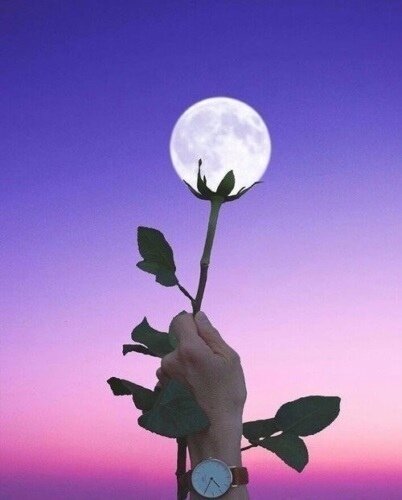 Фото с интернета