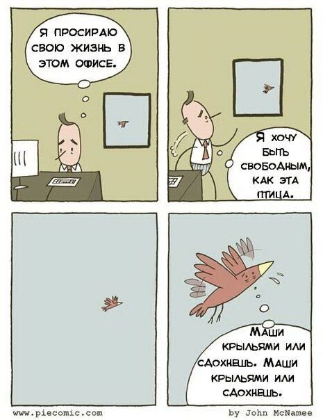 Мини комикс ожидания от бизнеса и реальность.