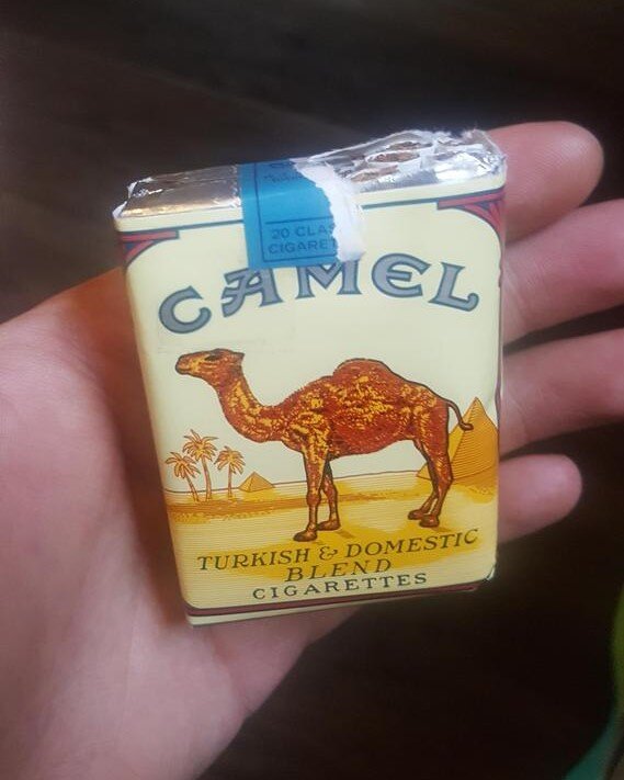 Кемел. Сигареты Camel USA без фильтра. Пачка кэмел 90. Camel сигареты 2022. Сигареты кэмел без фильтра в мягкой пачке.