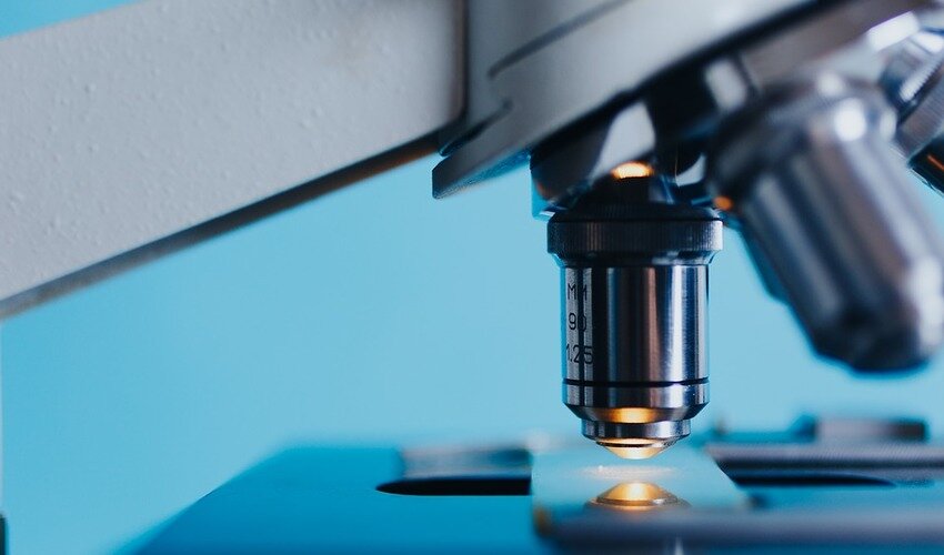 Фото с сайта pixabay.com