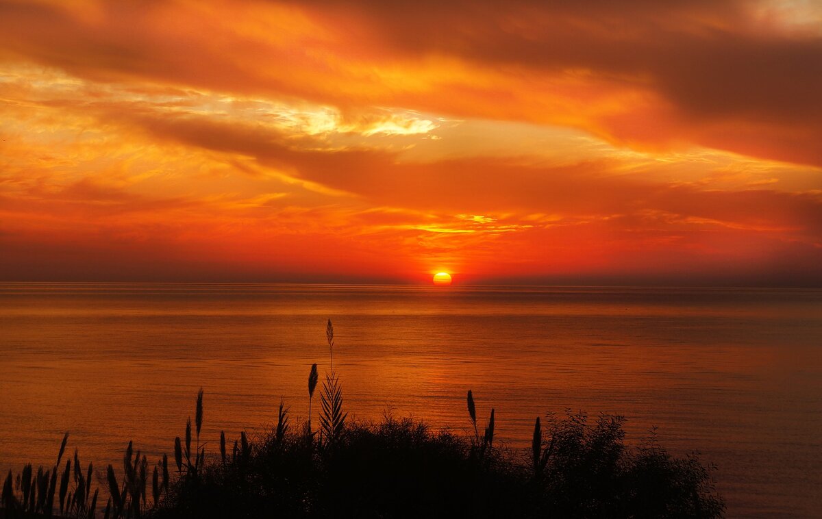 https://pixabay.com/ru/photos/%D0%B7%D0%B0%D0%BA%D0%B0%D1%82-%D0%B2%D0%BE%D1%81%D1%85%D0%BE%D0%B4-%D1%81%D0%BE%D0%BB%D0%BD%D1%86%D0%B5-%D0%BB%D0%B5%D1%82%D0%BE%D0%BC-%D0%BD%D0%B5%D0%B1%D0%BE-1046475/