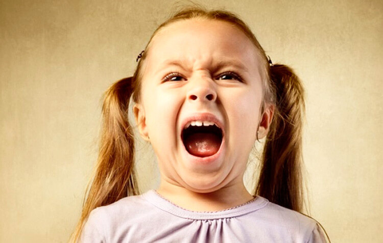 Яндекс Кртинки