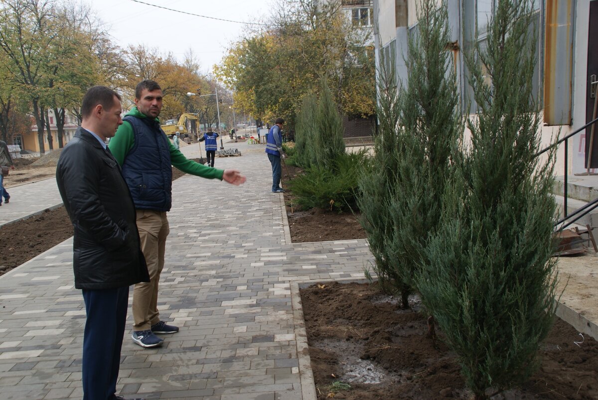 Новые растения появились у здания типографии.