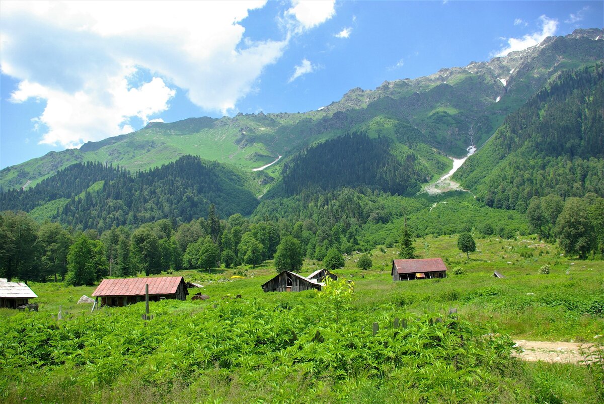 Село псху абхазия фото