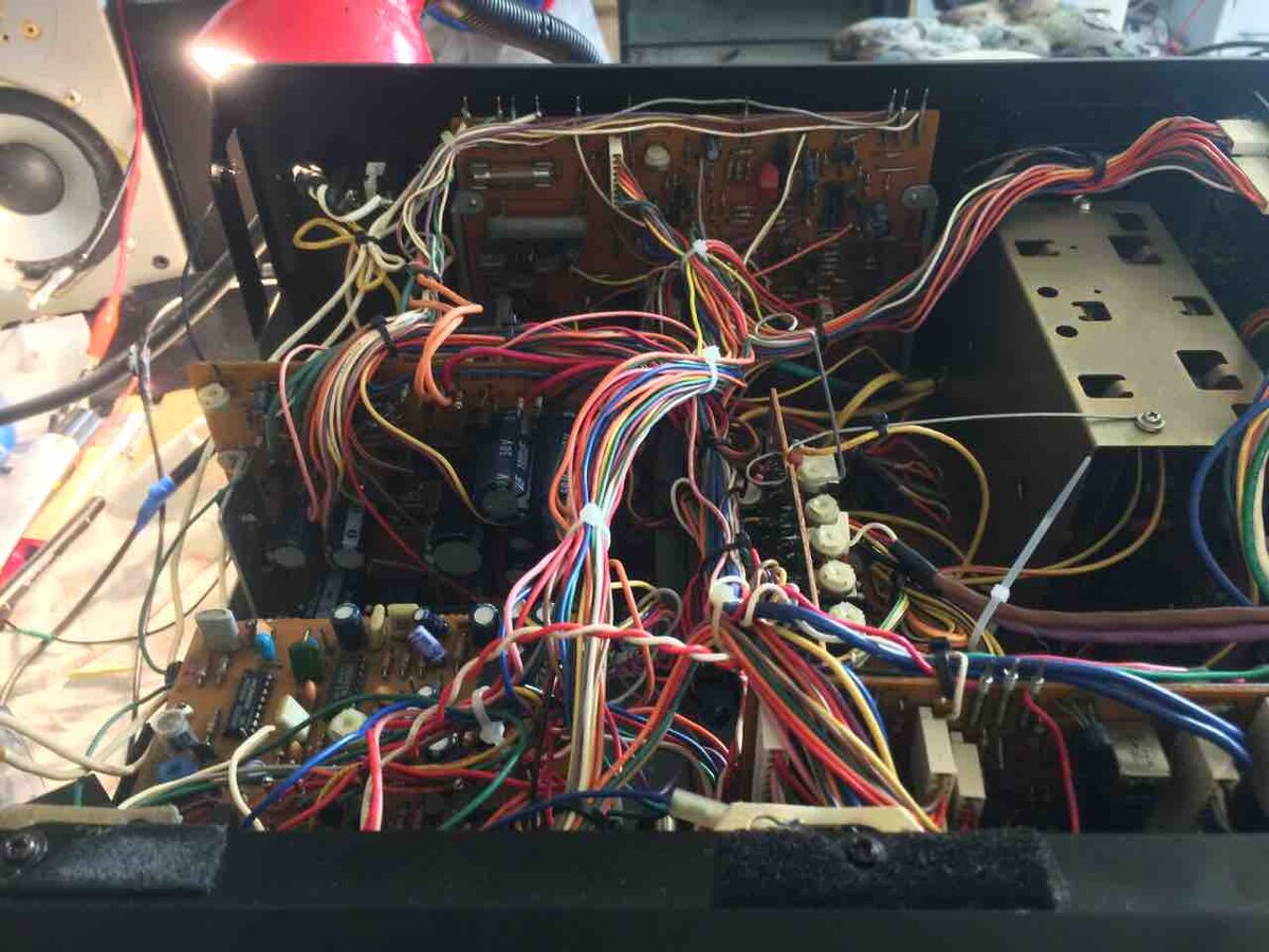 Внутренности. 