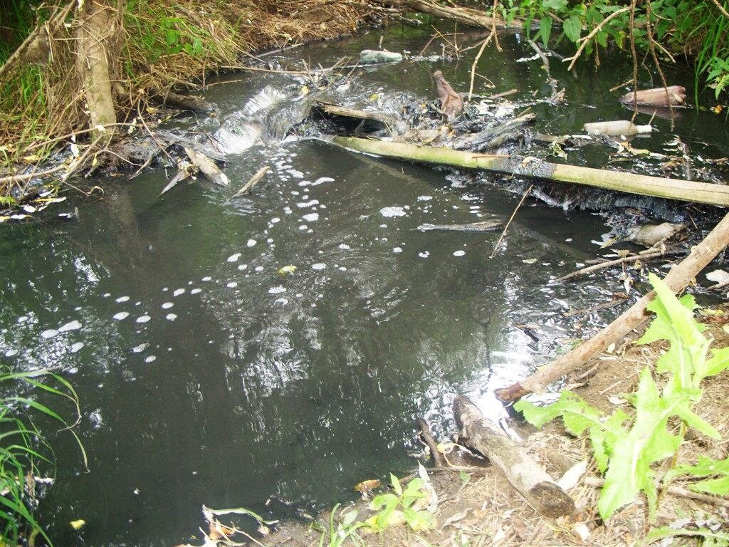 Сливать грязную воду. Загрязненные водоемы. Грязная вода. Грязный водоем. Грязная вода в реке.