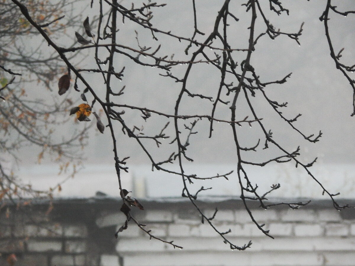 мутные очертания всего сущего