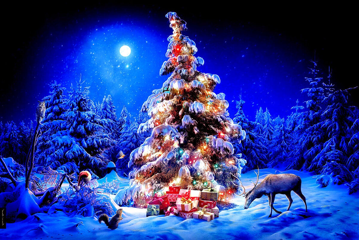 Новогоднее волшебство и сказочный лес