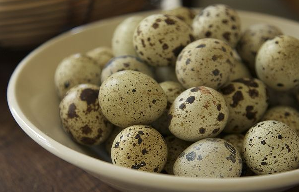 5 преимуществ перепелиного яйца