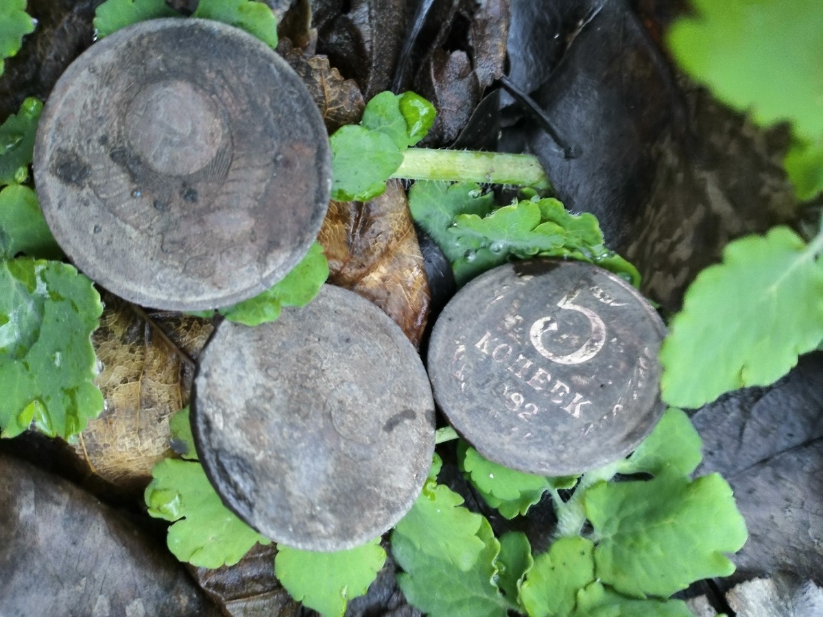 Первые монеты которые я сфотографировал, лежали рядом с основным местом, далее сфоткать не получилось, к сожалению села камера. 