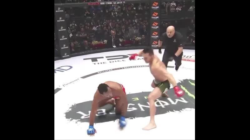 Майкл был свиреп и дик  - он победил досрочно.                            фото: открытые источники сети. 